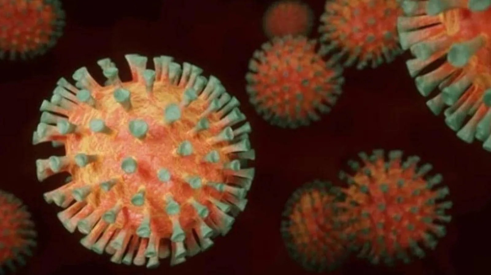 Omicron wave may cut future severity of coronavirus: Study