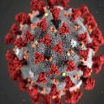 India reports 269 new Covid cases, three deaths – News