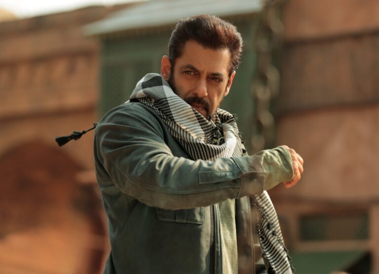 “My largest and solely job is to entertain folks!” – Salman Khan on Tiger 3 registering successful even on streaming