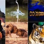 Thackeray to unveil first photo exhibit on top heart surgeon