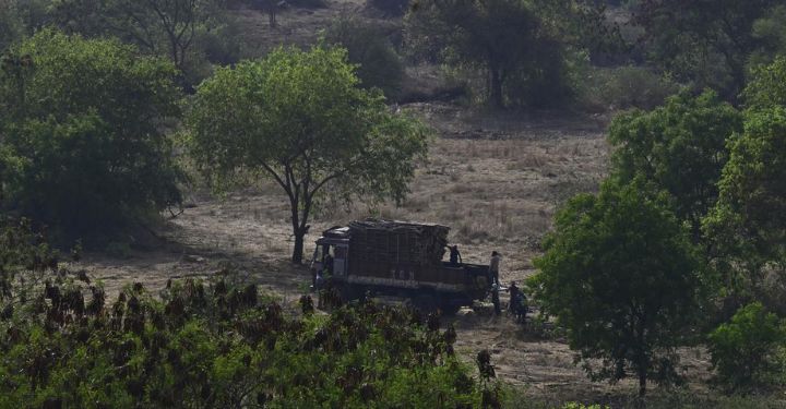 Supreme Court Puts Halt to Tree Cutting in Hyderabad’s Kancha Gachibowli Area