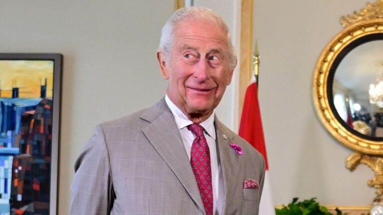The Blatant Indicators King Charles Is Executed With Prince Harry Amid Their Tragic Household Feud