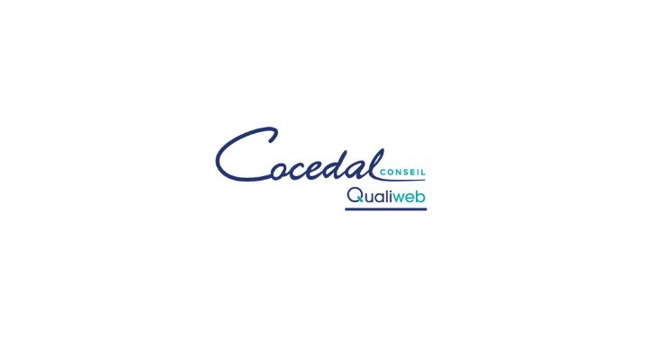 Cocedal Conseil Leads Marketing Innovation With Insightful Studies and Expert Client Consultation