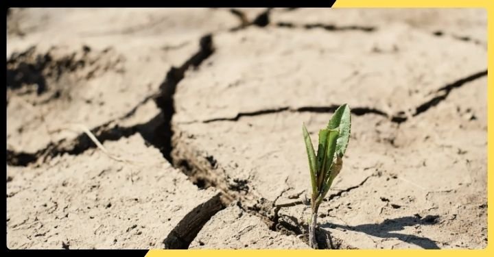 India’s Driest June in Over a Decade Raises Alarm for Farmers Across the Country